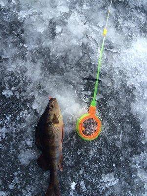 da7i3wc75jY.thumb.jpg.44252d3aaaa811b628