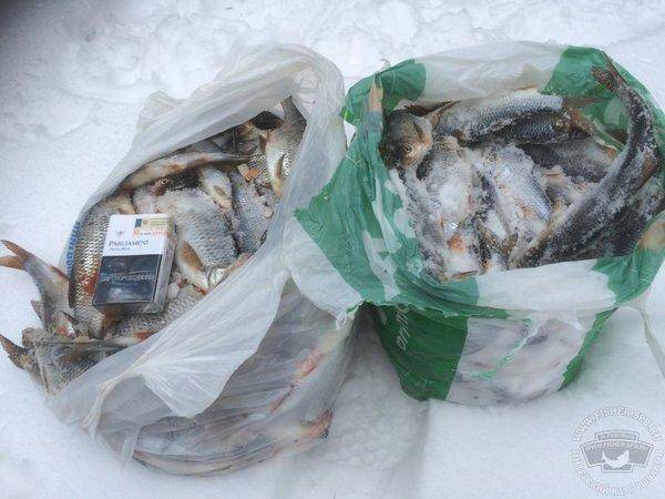 file.thumb.jpg.5a1bfc2ca8b5fb21673b92134