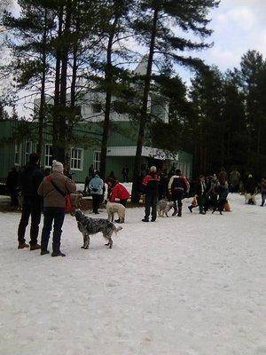 1.thumb.jpg.a399cd12ef847bfde72e9441c032