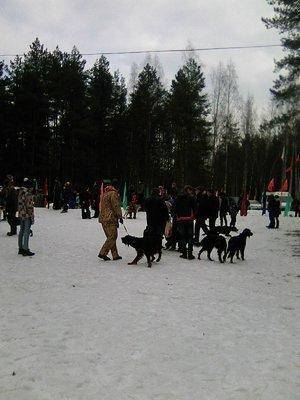 2.thumb.jpg.1c2426fd28cb28cf98d181af5729