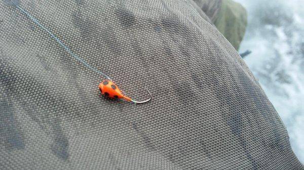 2016.thumb.jpg.38a35b5669e92be9c3232bbcf