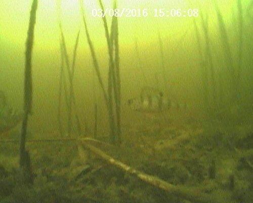 20160308150608.thumb.JPG.ebe7a665b1ebde0