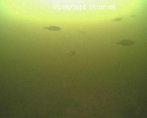 20160308150706.thumb.JPG.e5bf2bd0ac635b7