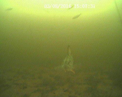 20160308150731.thumb.JPG.25c730d17ae54b6