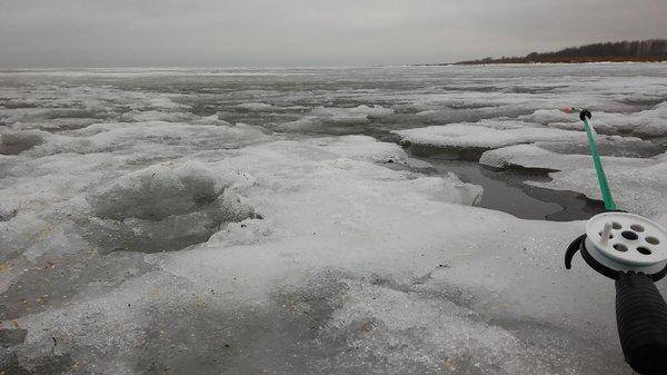 2016_1.thumb.jpg.67ebd8a96c0e2acc7c50199