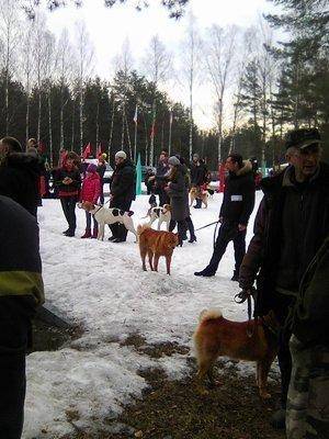 3.thumb.jpg.11990a992c0c6d1cc1240e177979