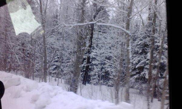 4.thumb.jpg.150c024af26f460bbbf31df9e79b