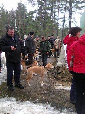 4.thumb.jpg.97be6fd413a048ecccccaa706533