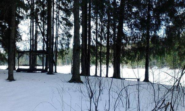 5.thumb.jpg.4ca6ca0e9681e201f9545f214e8b