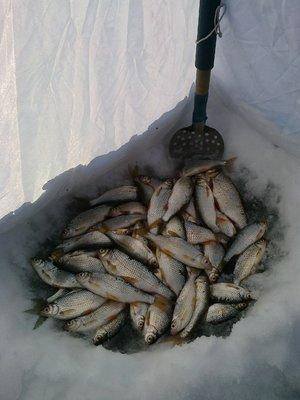 56d5da5cb358d_0284.thumb.jpg.409adce6c6e