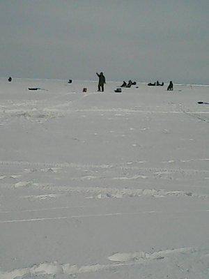 56d5fc3ce8534_12016005.thumb.jpg.7176253