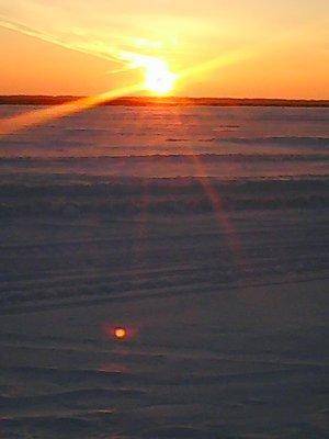 56d5fcb491854_12016009.thumb.jpg.dd8a2d8