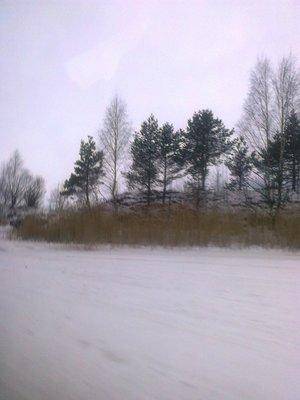 56d9e319d398e_2909.thumb.jpg.d8708aa6777