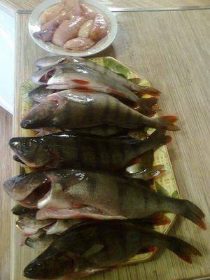 56db1ead9858d_2923.thumb.jpg.7096eea27a9