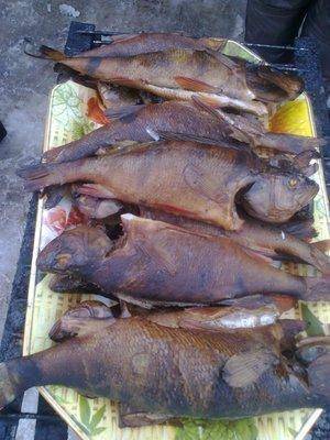 56dc2827275bd_2926.thumb.jpg.1f41b69baeb