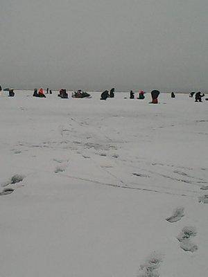 56dca69361d7d_62016003.thumb.jpg.49c9cb9