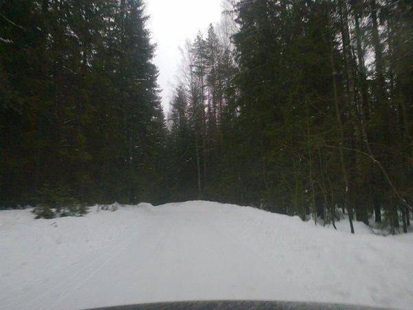 56ddc52dd5af8_2933.thumb.jpg.4a57812c361