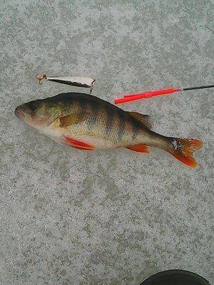 56e57be933fb4_12-132016027.thumb.jpg.03a