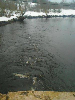 56e57c5d97b53_12-132016031.thumb.jpg.e14