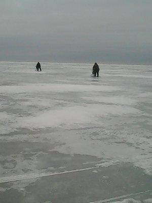 56e87cc989988_015.thumb.jpg.f1d2a1655242