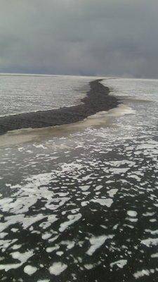 56ed6a4cd8e6a_IMG_20160319_1328471.thumb