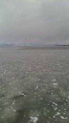 56ed6a898bf44_IMG_20160319_1422341.thumb