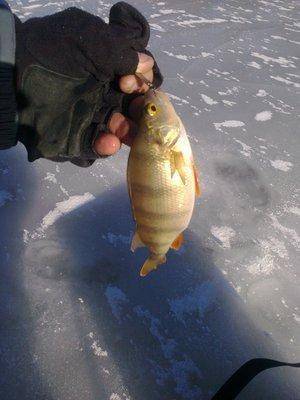 56eea20b1be24_3012.thumb.jpg.98ed4f24901