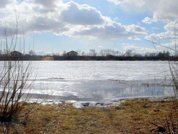 56eedfbca3324_DSC08764.thumb.jpg.07d049e