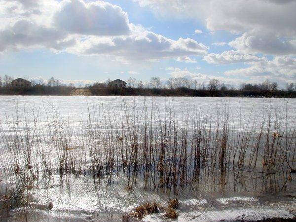 56eee036dfe16_DSC08766.thumb.jpg.ed05e8d