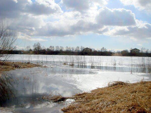 56eee0ba0be7b_DSC08768.thumb.jpg.1921f98