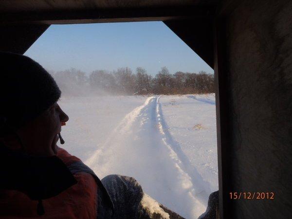 со снежиком в болоте 083.JPG