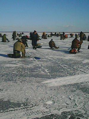 56f1b2e4c41f8_22.03.2016027.thumb.jpg.bc