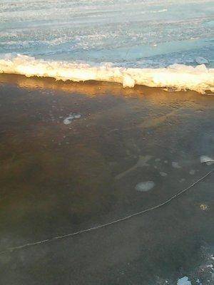 56f1b35e3e33c_22.03.2016043.thumb.jpg.33