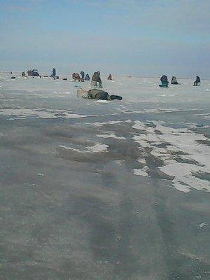 56f79f7430ee9_26.032016032.thumb.jpg.ea4