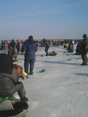 56f7a0076152c_26.032016036.thumb.jpg.56d