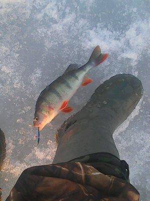 56f7a0dda29a9_26.032016053.thumb.jpg.98a