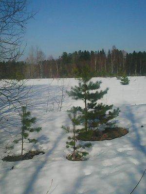 56fc0e3a922a9_30.032016002.thumb.jpg.618