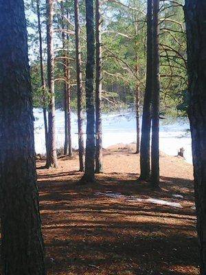 56fc0fdce98f4_30.032016008.thumb.jpg.2de