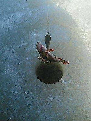 56fc0ffce0179_30.032016011.thumb.jpg.661