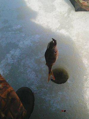 56fc103b17522_30.032016013.thumb.jpg.239