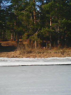 56fc10791d9bc_30.032016024.thumb.jpg.ca7