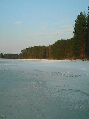 56fc130fb4573_30.032016049.thumb.jpg.62c