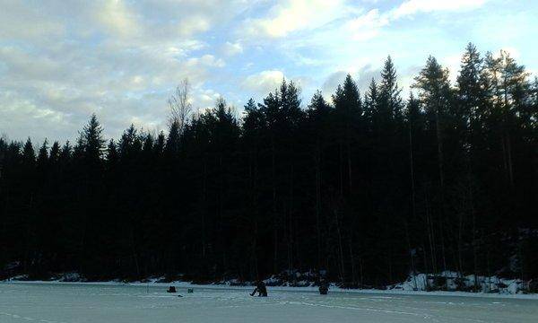 6.thumb.jpg.e3c080330caf302b5c2040a53e5b