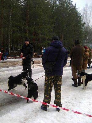 7.thumb.jpg.988ee96650e1b82e98e77c474dfa