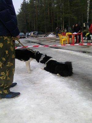 8.thumb.jpg.3dc377097f417b880622eb9bfe11