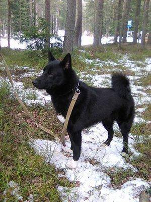 9.thumb.jpg.bac19fd4fcfc0be78b5e346eafc2