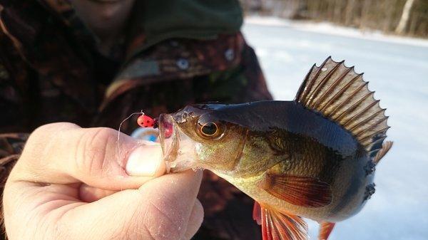 DSC_0220.thumb.JPG.929d29ca8924ddeef1c1c