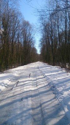 DSC_1157.thumb.JPG.25aa416a8413e8b4709e1