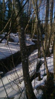 DSC_1159.thumb.JPG.375f07da6c4819d3e5182