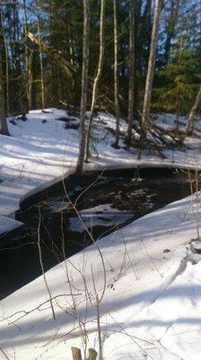 DSC_1160.thumb.JPG.11e618bbb7fb586e123b4